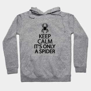 Keep calm it's only a spider Hoodie